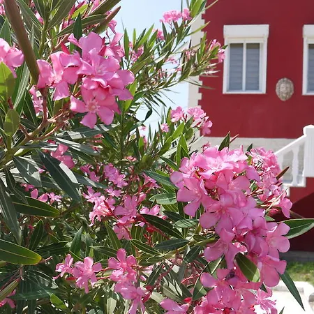 Ciftlik Çeşme
