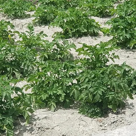 酒店 基弗特里克酒店